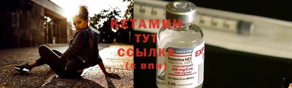 дживик Дмитров